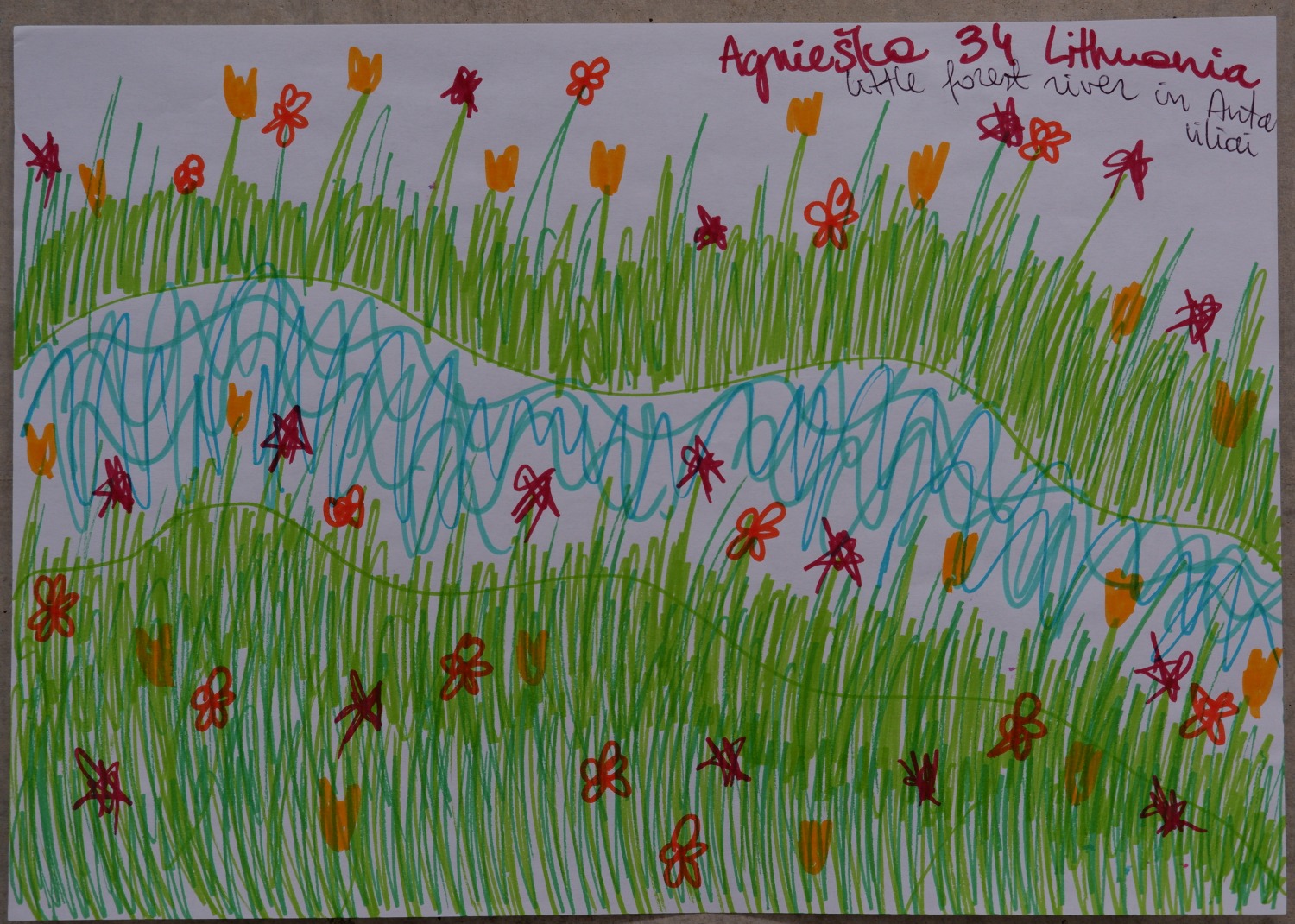 Drawing of tall grass thick with red and orange flowers on either side of a winding blue river