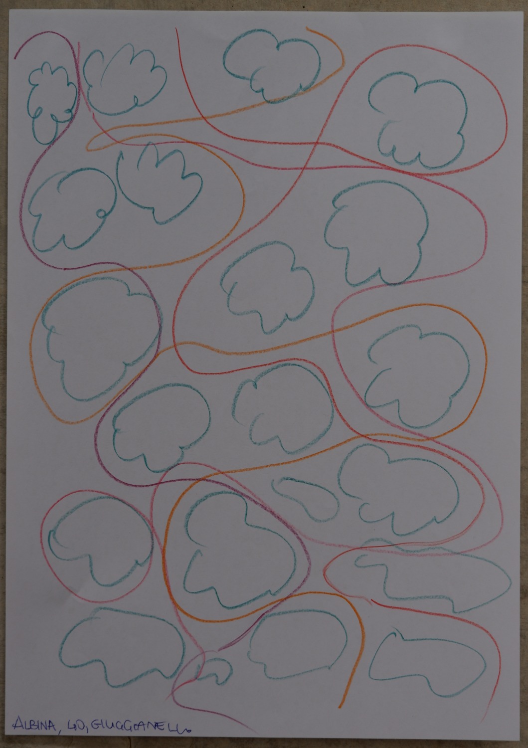 Drawing of the same countryside now, as calm outlined clover-like shapes crossed by fewer, quieter lines