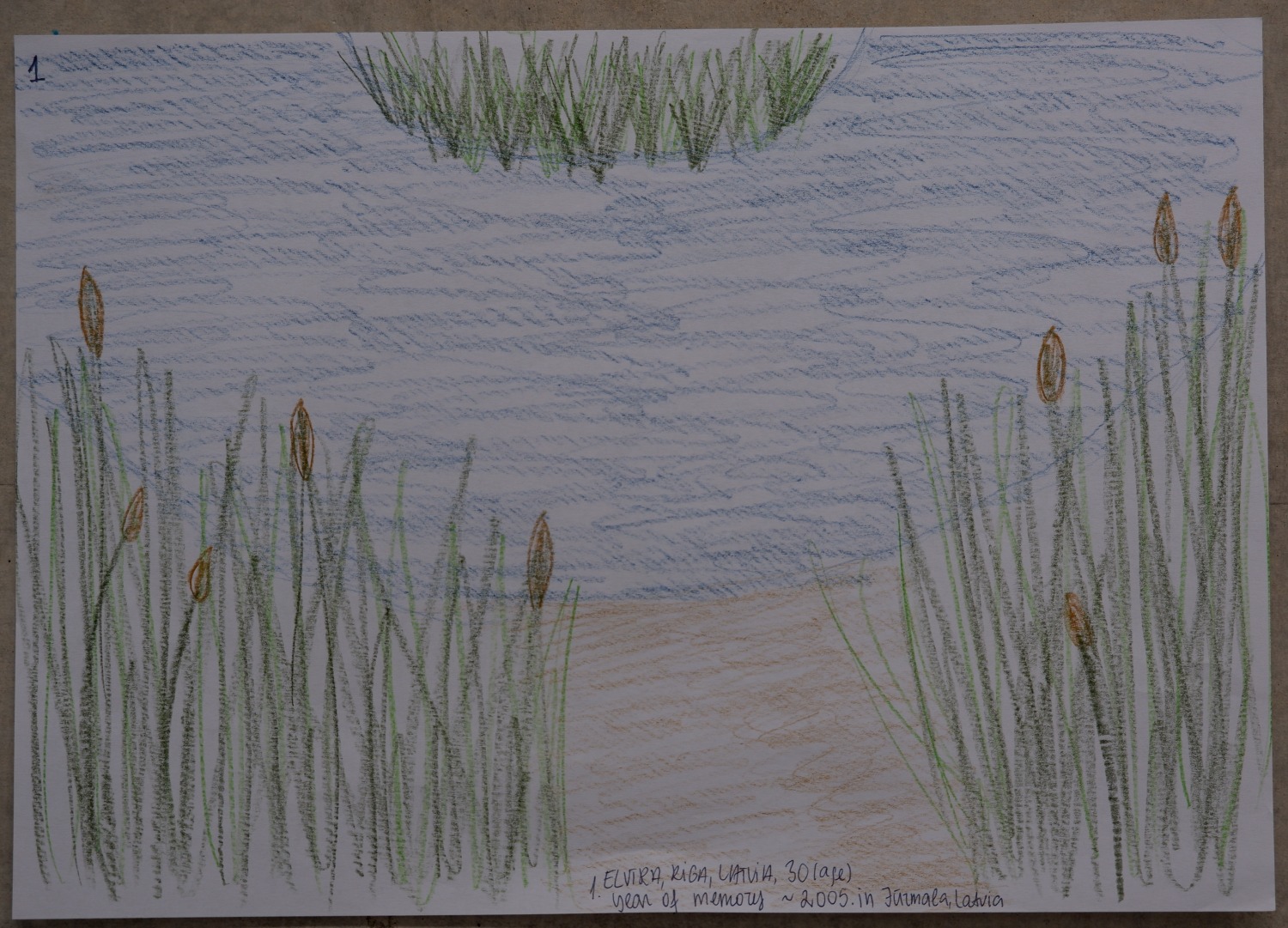 Drawing of a calm river bordered by reeds and bulrushes, with a sandy path down to the water