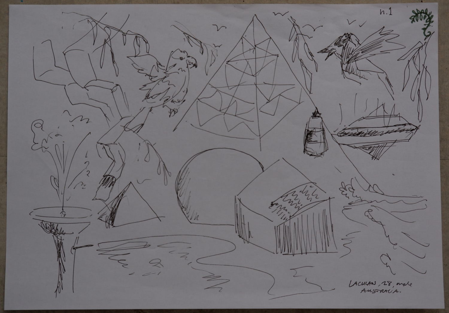 Drawing of rocks, a cockatoo, a fountain, a magpie, a gum tree, a bell tent, a bin and a curving path at Putney Park