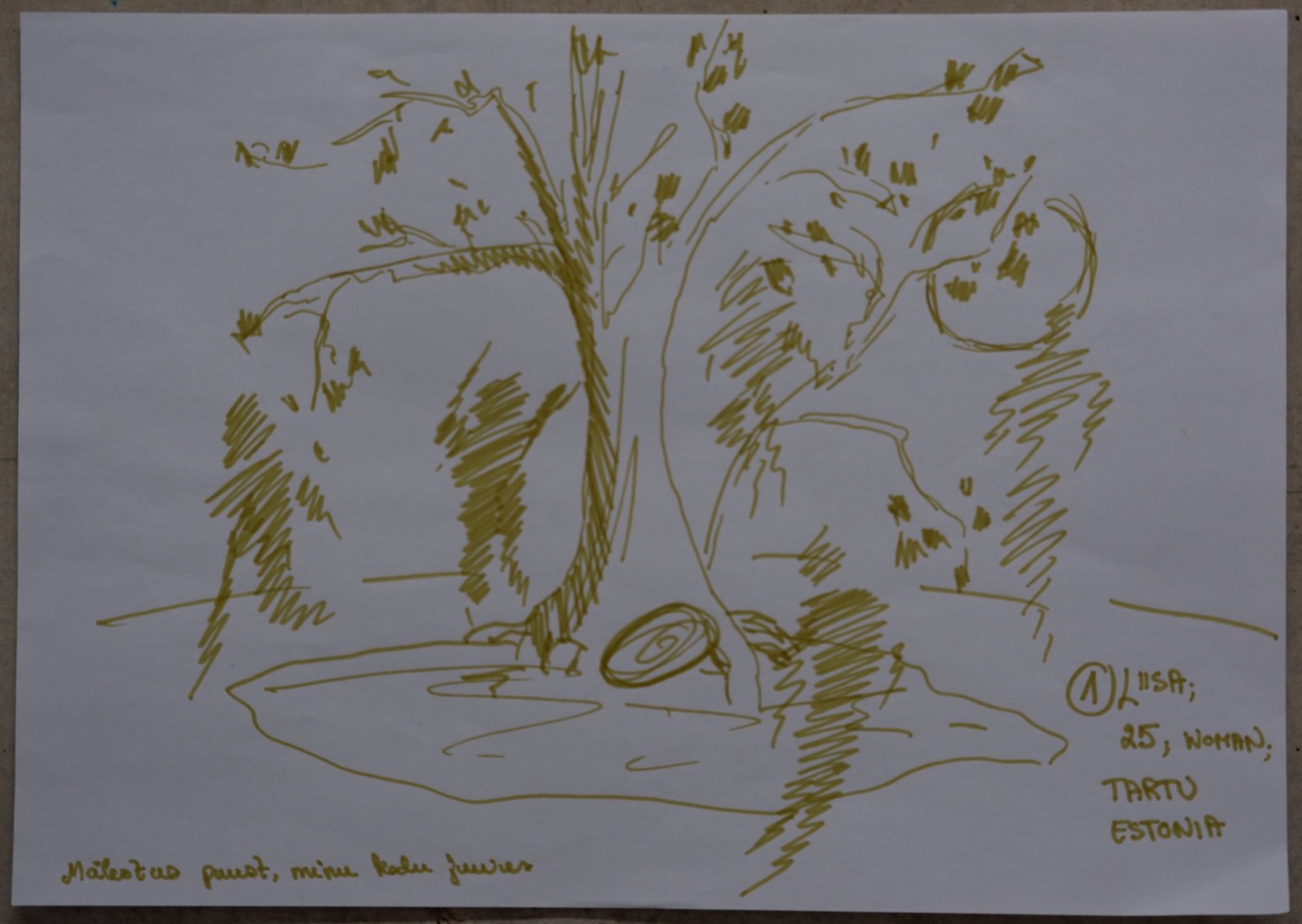 Drawing of a willow tree beside a small pond, with an island-like patch of ground at its roots