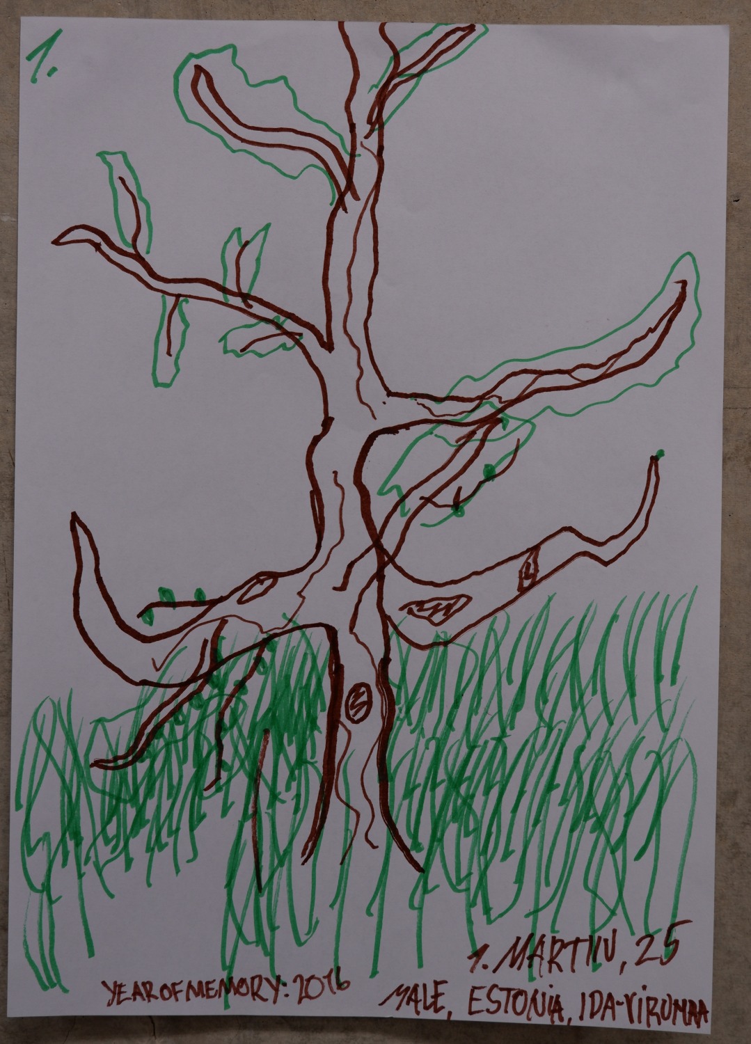 Drawing of a great tall oak tree rising out of tall grass