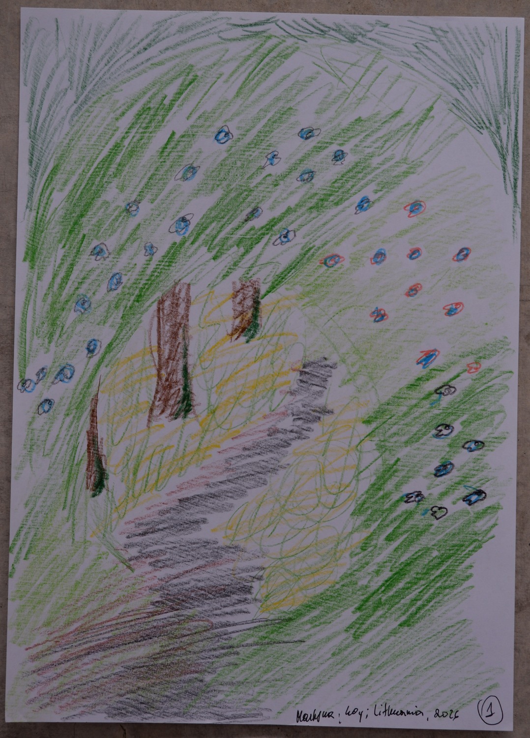 Drawing of a wooded path lined with dense green bushes filled with scattered blue and red flowers