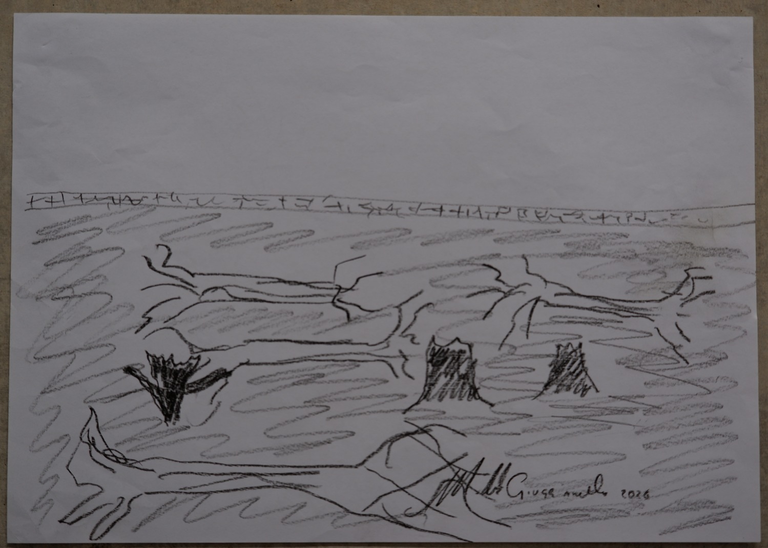 Pencil drawing of the same view now, as bare felled tree trunks and stumps lying across an open field