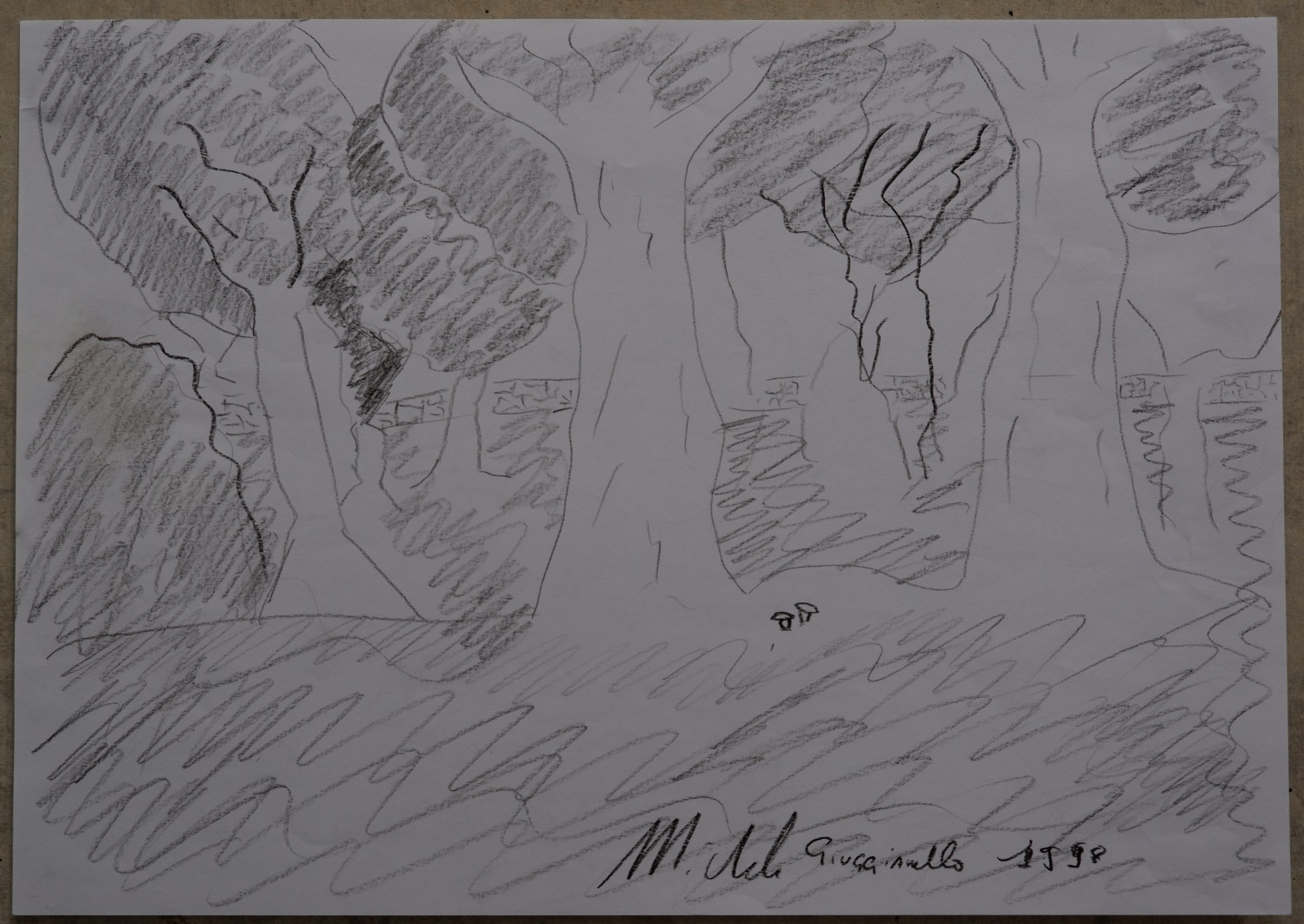 Pencil drawing of a dense wood with two mushrooms at the base of a central tree