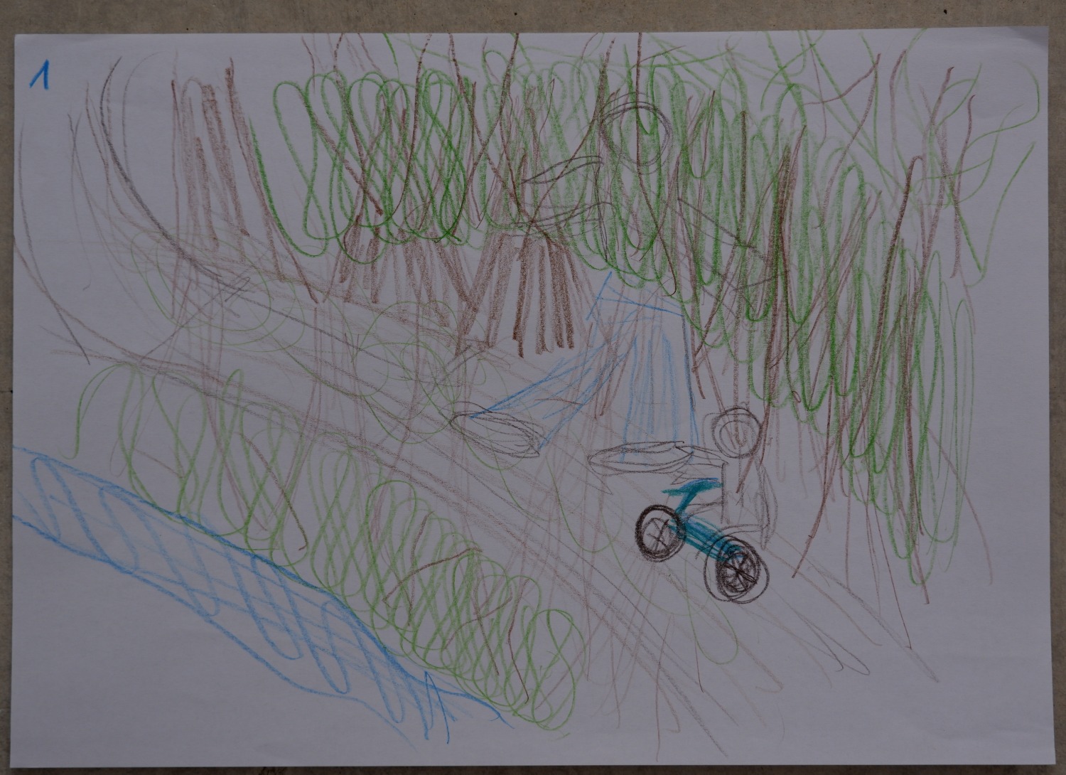 Drawing of a dense forest with a stream, a tent and a small bicycle on a path