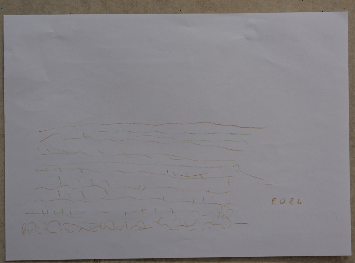 Drawing of the same land now, as bare furrowed rows with no vines