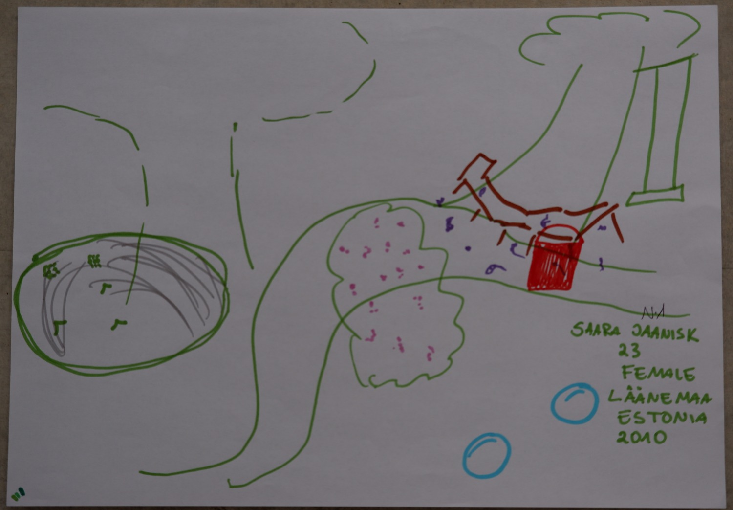 Drawing of a rock, oak trees, a bramble bush, a red bucket and a swing at the grandparents' place